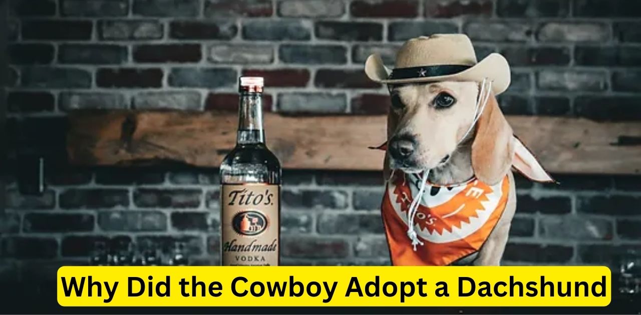 Why Did the Cowboy Adopt a Dachshund